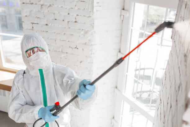 Biohazard Mold Removal in Holly Springs, NC