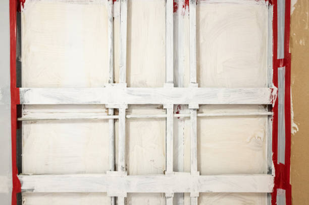 Best Basement Mold Removal  in Holly Springs, NC