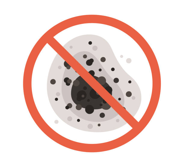 Best Biohazard Mold Removal  in Holly Springs, NC