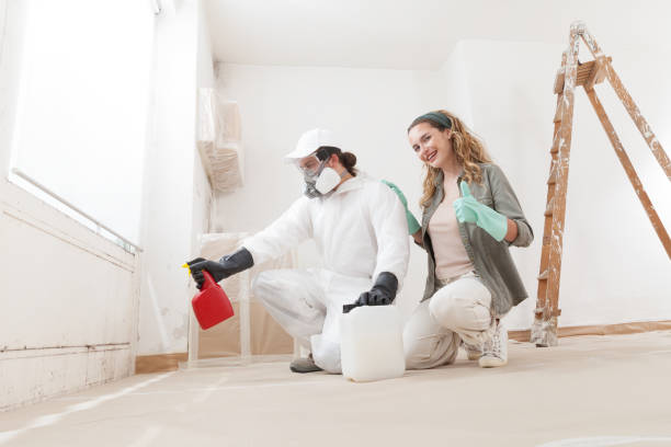 Forensic Mold Investigation in Holly Springs, NC