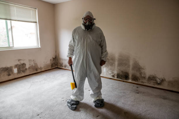 Best Emergency Mold Remediation  in Holly Springs, NC
