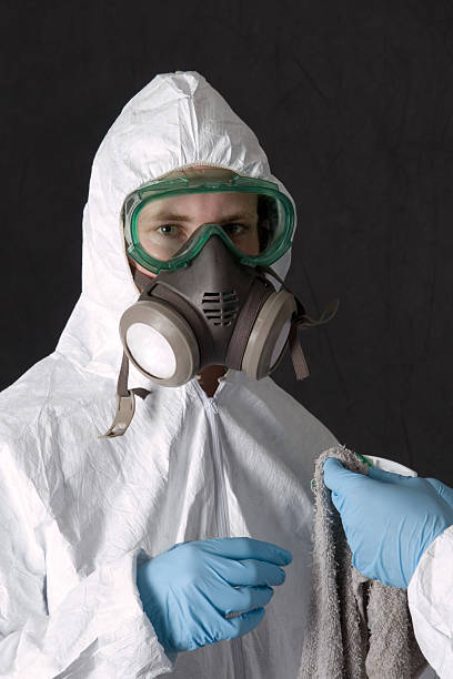 Best Mold Odor Removal Services  in Holly Springs, NC